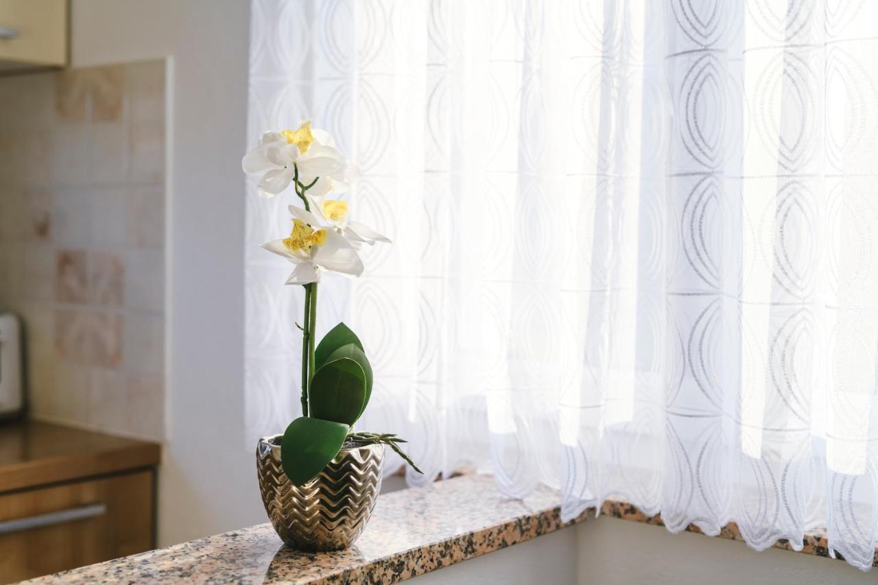 Apartments Mirela Κόπερ Εξωτερικό φωτογραφία